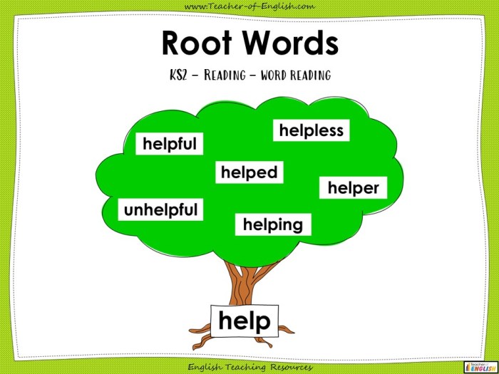 Root words presentation ppt powerpoint dorm crea