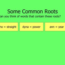 Words with the root dyna