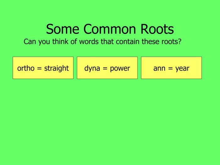 Words with the root dyna