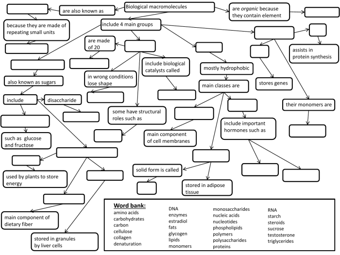 Macromolecules color by number answer key