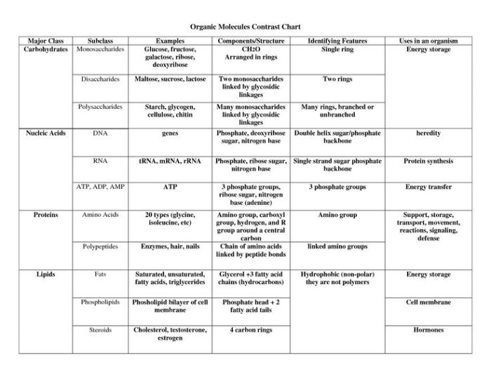 Macromolecules