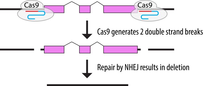 Mutation that removes dna crossword