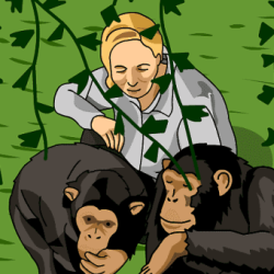 My life with the chimpanzees pdf