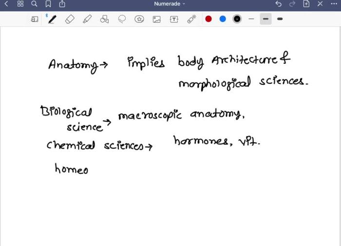 Anatomical concepts associated with biology chemistry and homeostasis