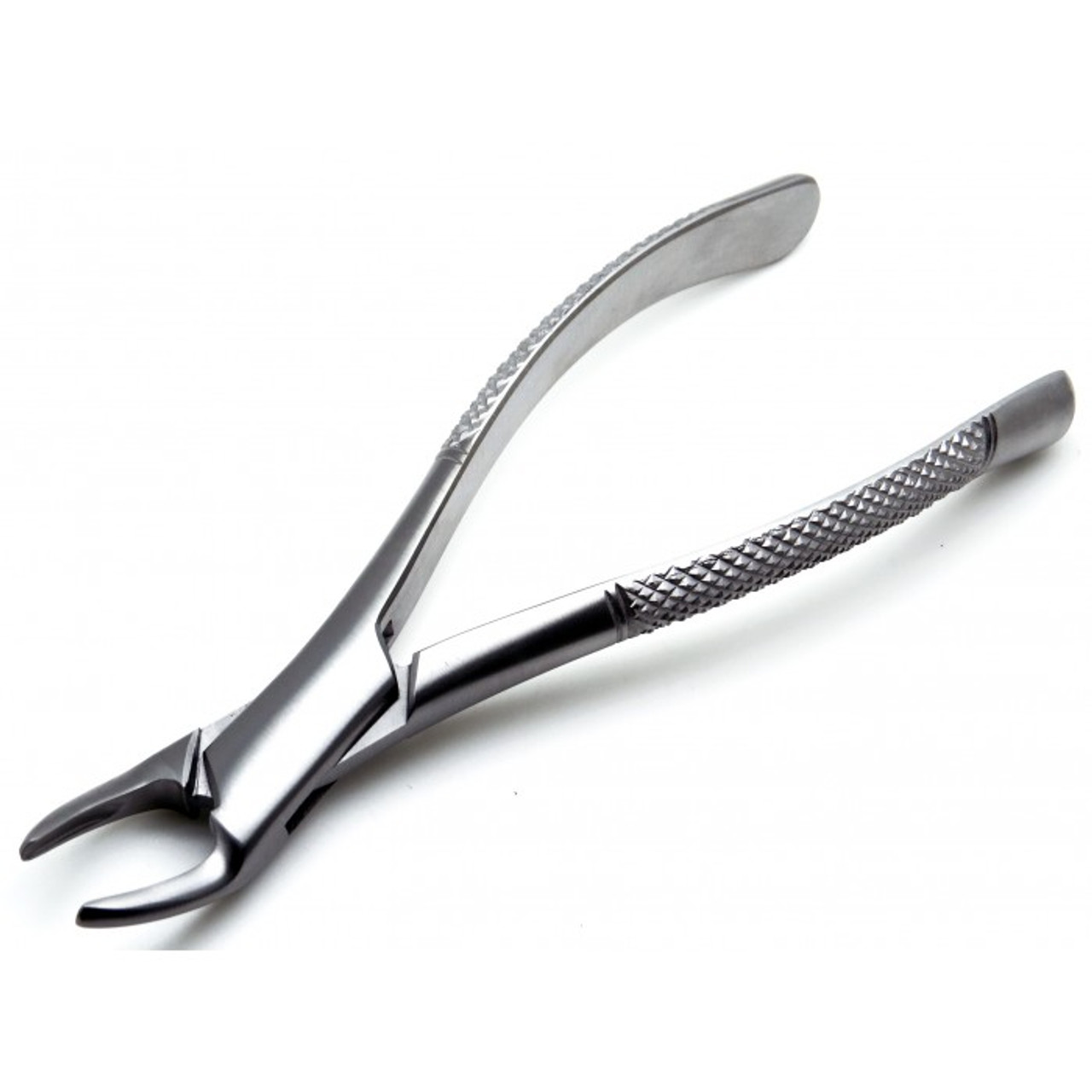 Forceps extraction surgical incisors bicuspids cuspids roots