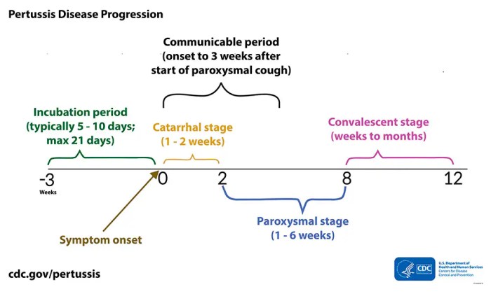 Cough heart between disease correlation