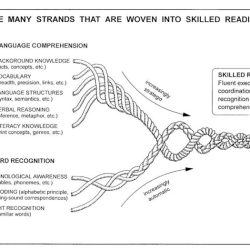 Letrs unit 7 session 5 check for understanding