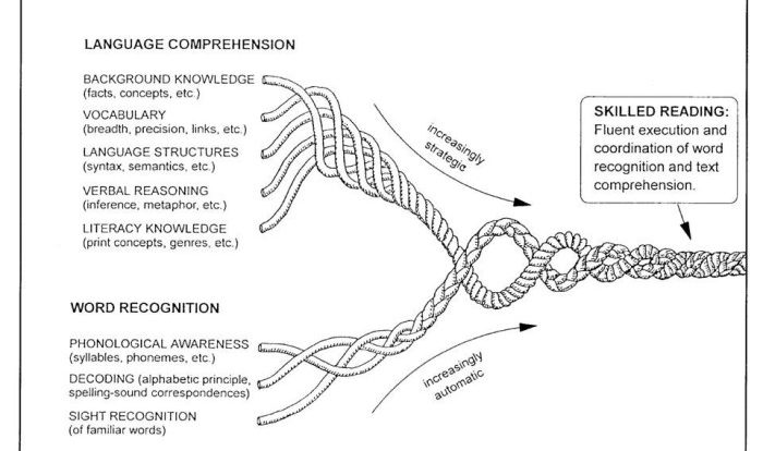 Letrs unit 7 session 5 check for understanding