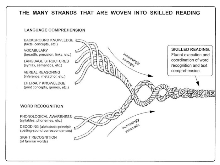 Letrs unit 7 session 5 check for understanding