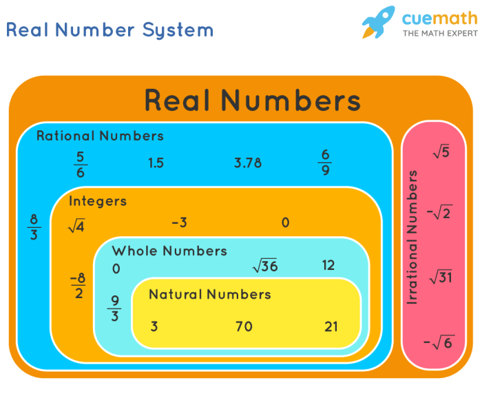 Which of the following statements about deuterostomes is false