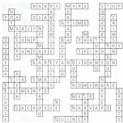 Icivics wanted a just right government crossword answer key